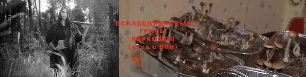спайс Алзамай