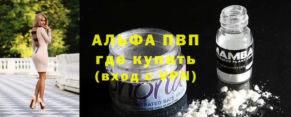 спайс Алзамай
