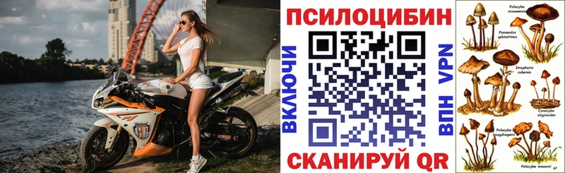 цены наркотик  Абакан  Галлюциногенные грибы прущие грибы 
